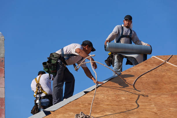 Best Emergency Roof Repair  in Holly Ridge, NC