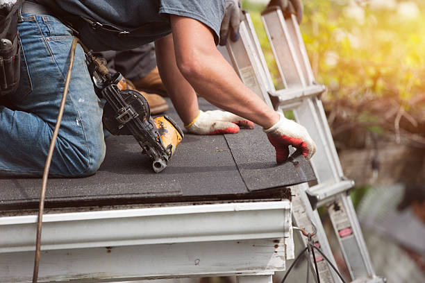 Best Metal Roofing Contractor  in Holly Ridge, NC